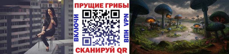 Псилоцибиновые грибы MAGIC MUSHROOMS  Сафоново 