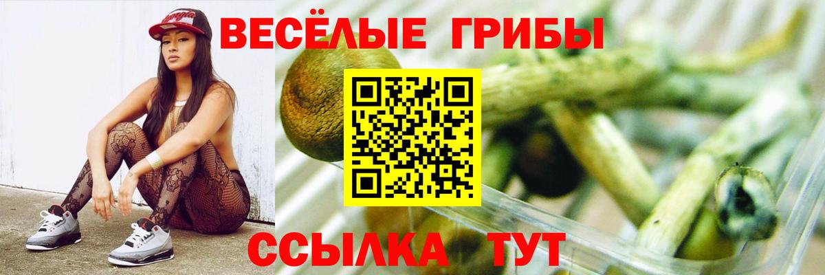 Сафоново  купить наркотики цена  Вход с VPN  Галлюциногенные грибы Psilocybine cubensis 