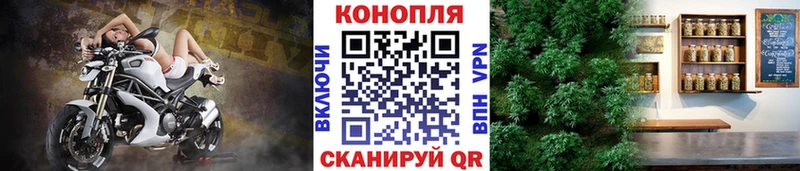Марихуана семена Сафоново